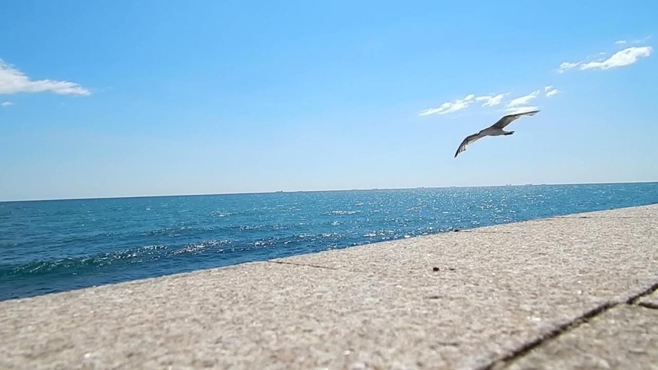 Aqua Mamaia Luminita Appartement Buitenkant foto
